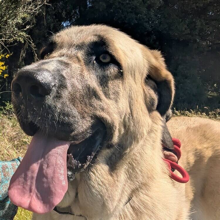 Foto de perfil de Leticia
