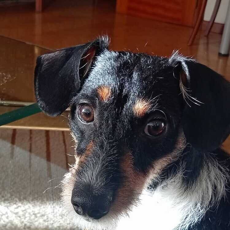 Foto de perfil de Anca