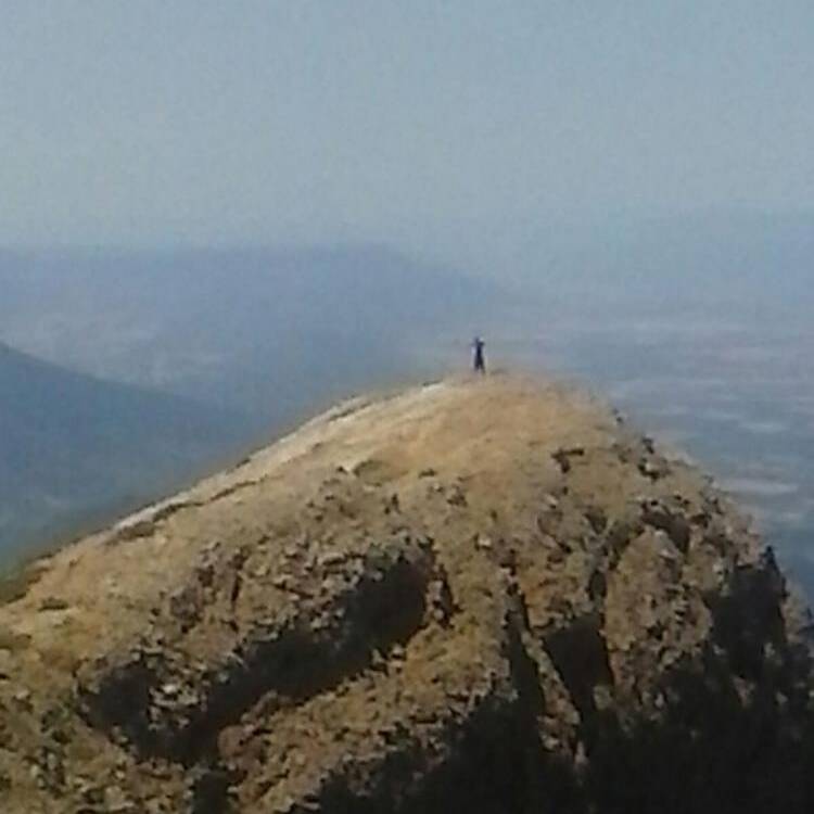 Foto de perfil de gelo
