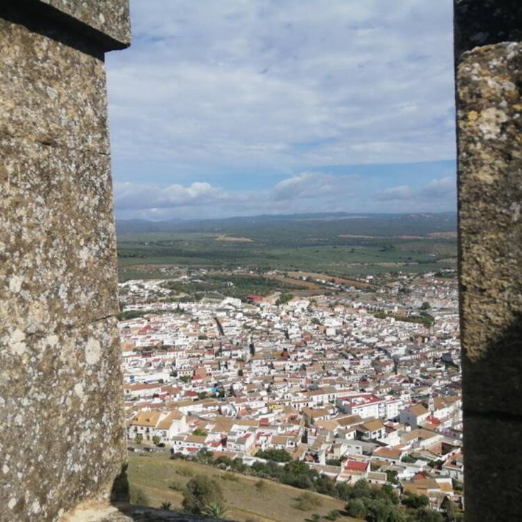 Foto de perfil de Paco