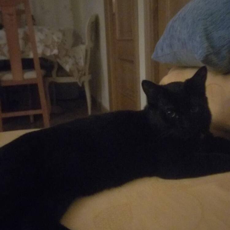 Foto de perfil de Ludi
