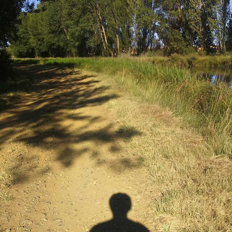 Foto de perfil de Jose