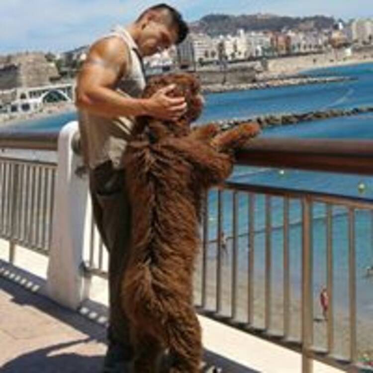 Foto de perfil de Richard Torres