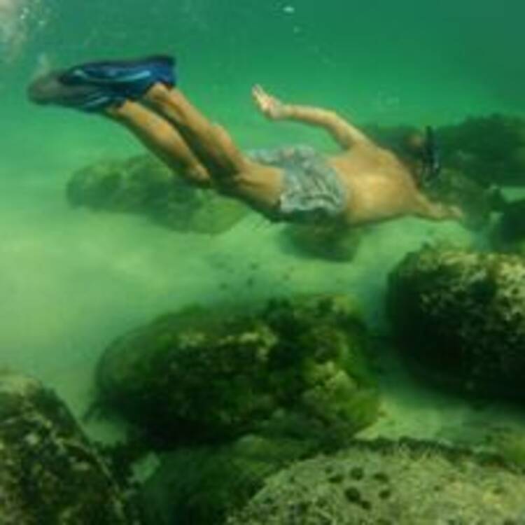 Foto de perfil de Enrique Amigo