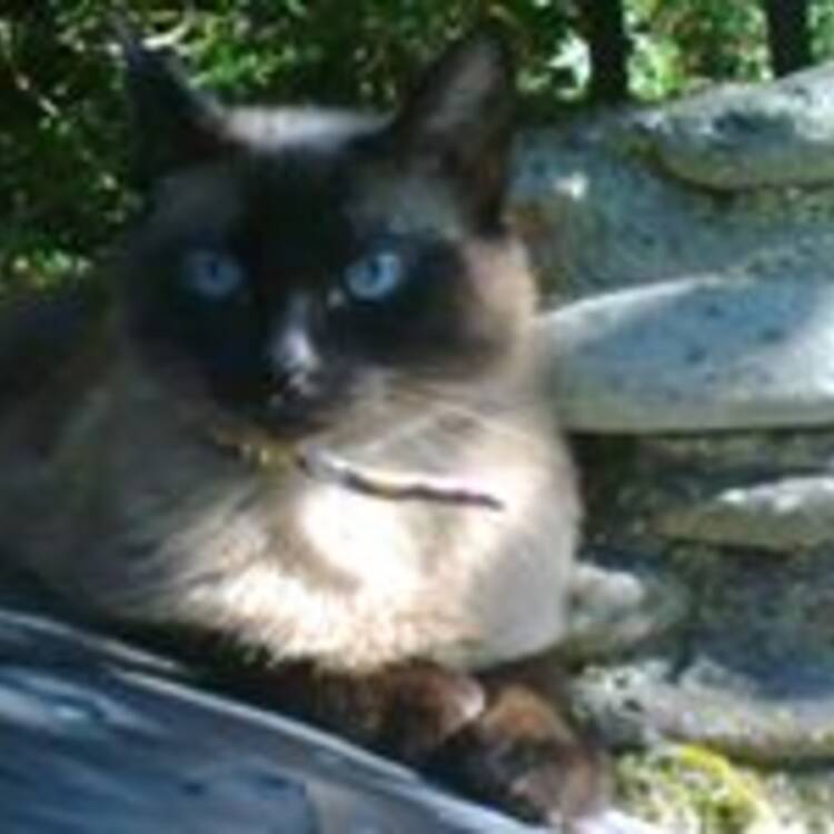 Foto de perfil de Patri