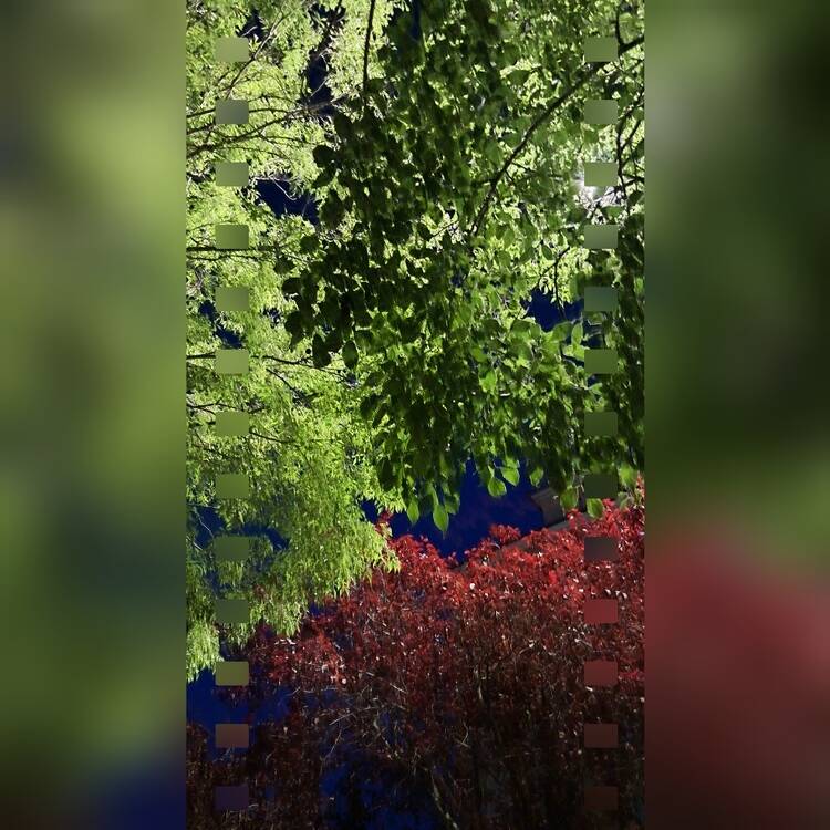 Foto de perfil de Sory