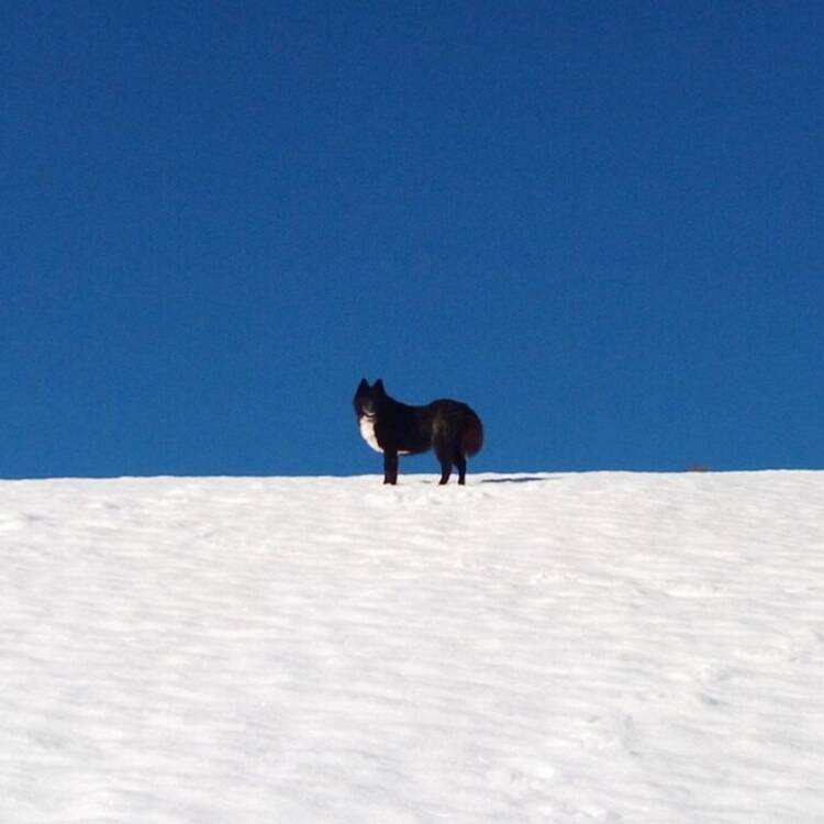 Foto de perfil de Estrella
