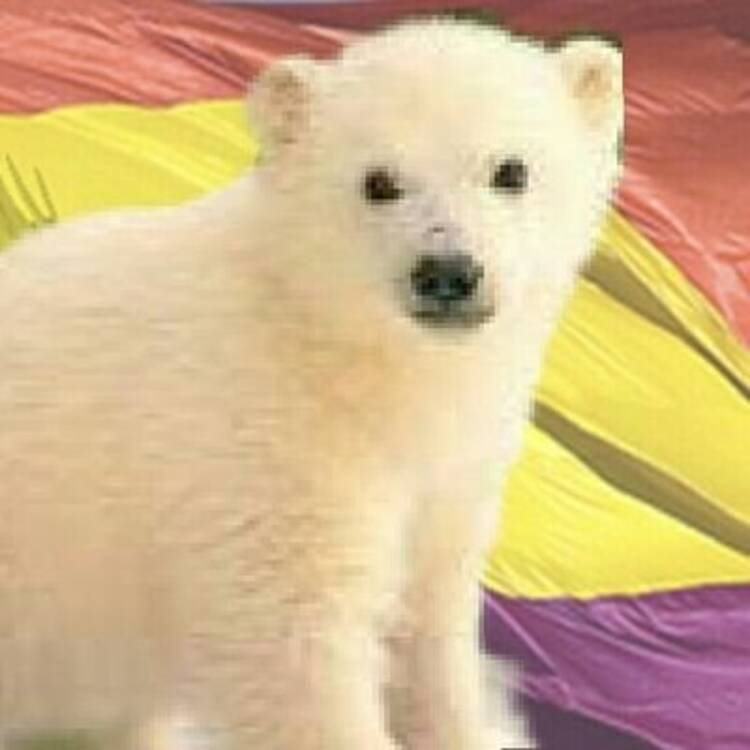 Foto de perfil de alber