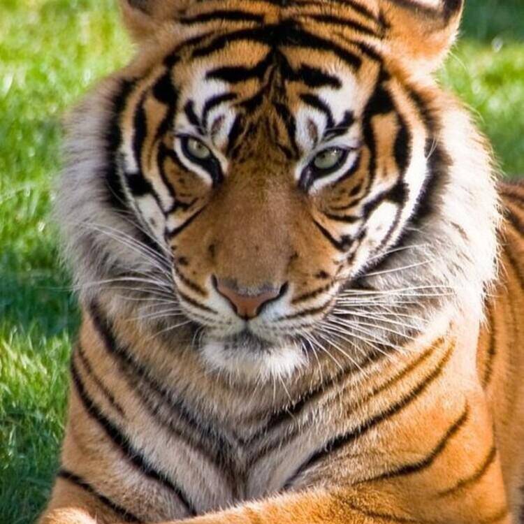 Foto de perfil de Vive