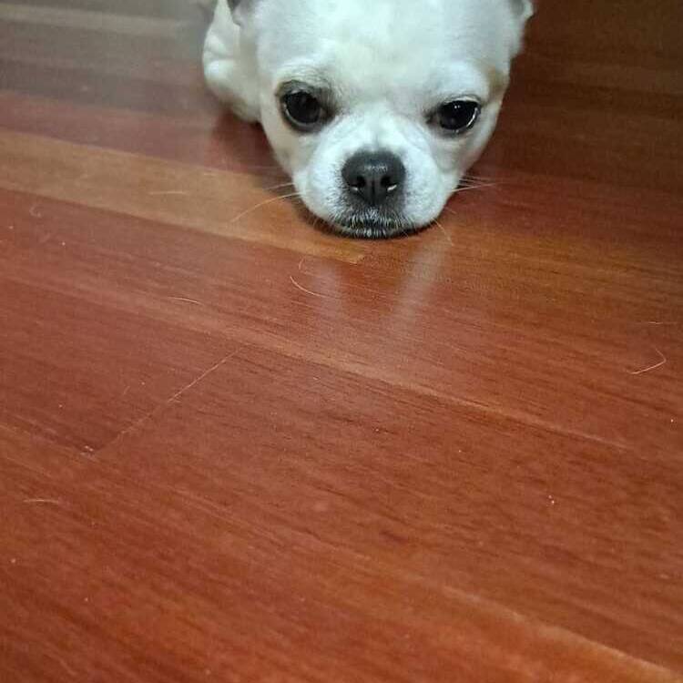 Foto de perfil de andrea