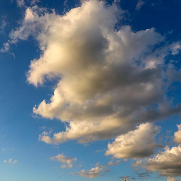 Foto de perfil de MadMax