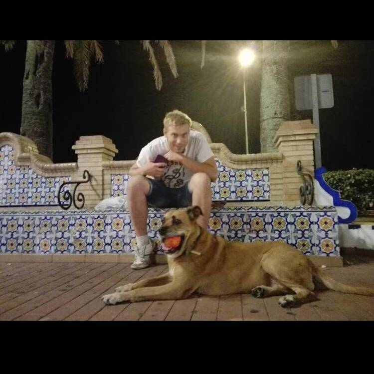 Foto de perfil de Davis