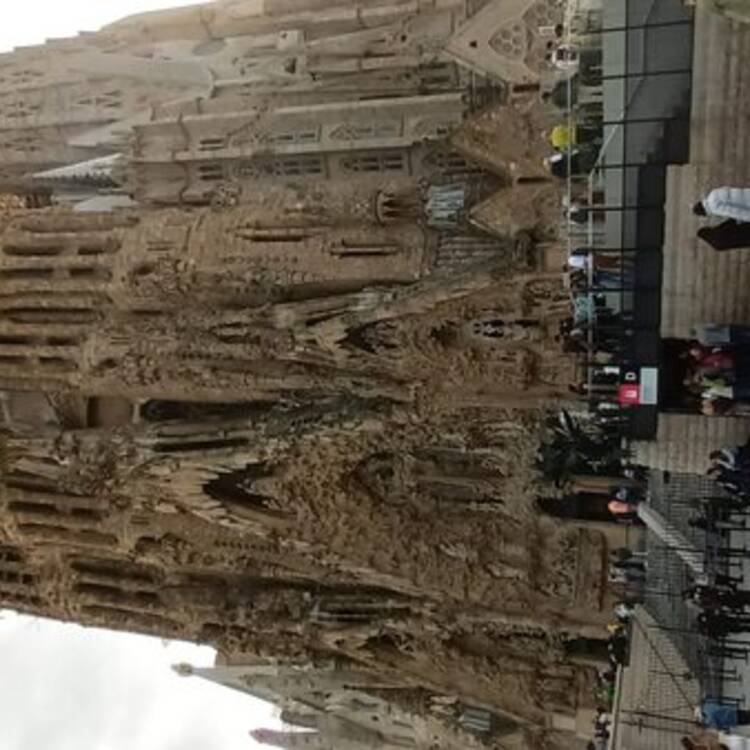 Foto de perfil de David
