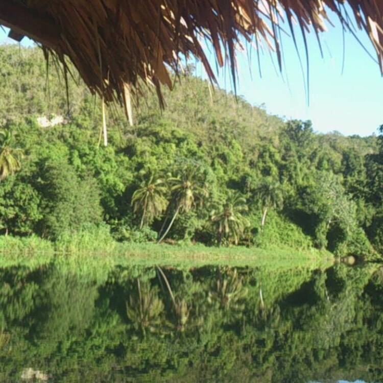 Foto de perfil de Maribel