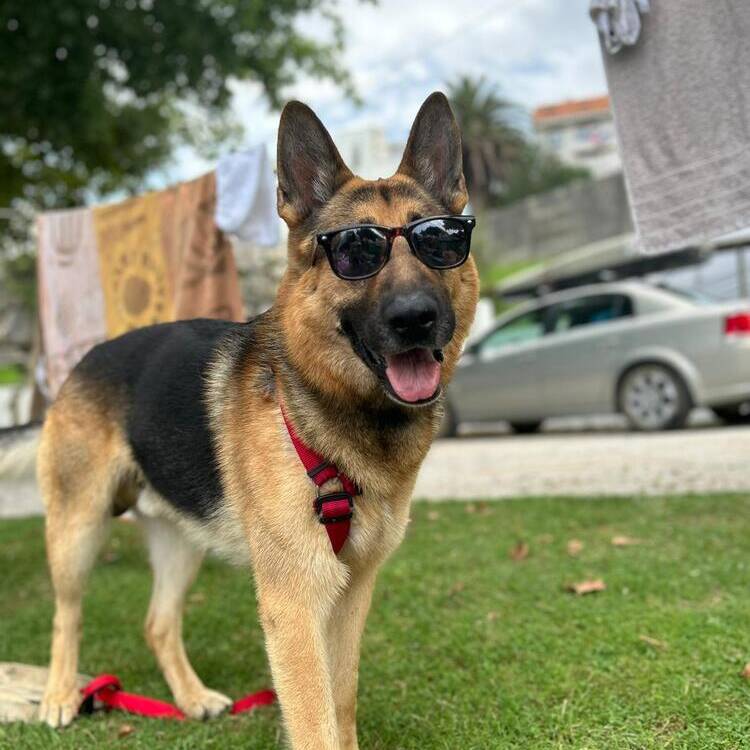Foto de perfil de Raquel