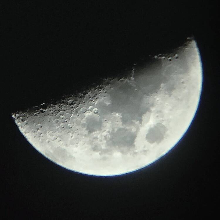Foto de perfil de Fran