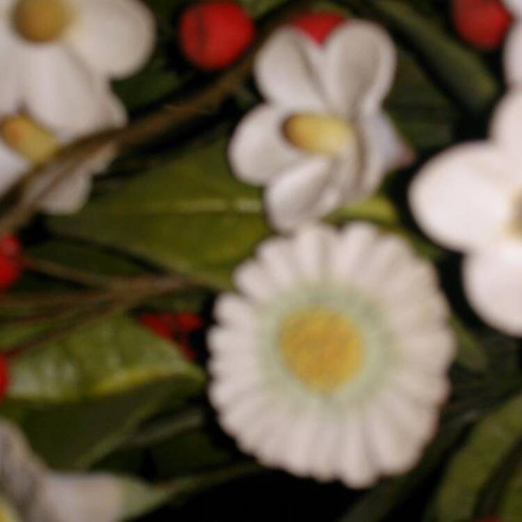Foto de perfil de olga