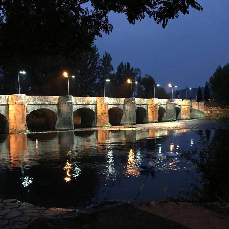 Foto de perfil de Angeles