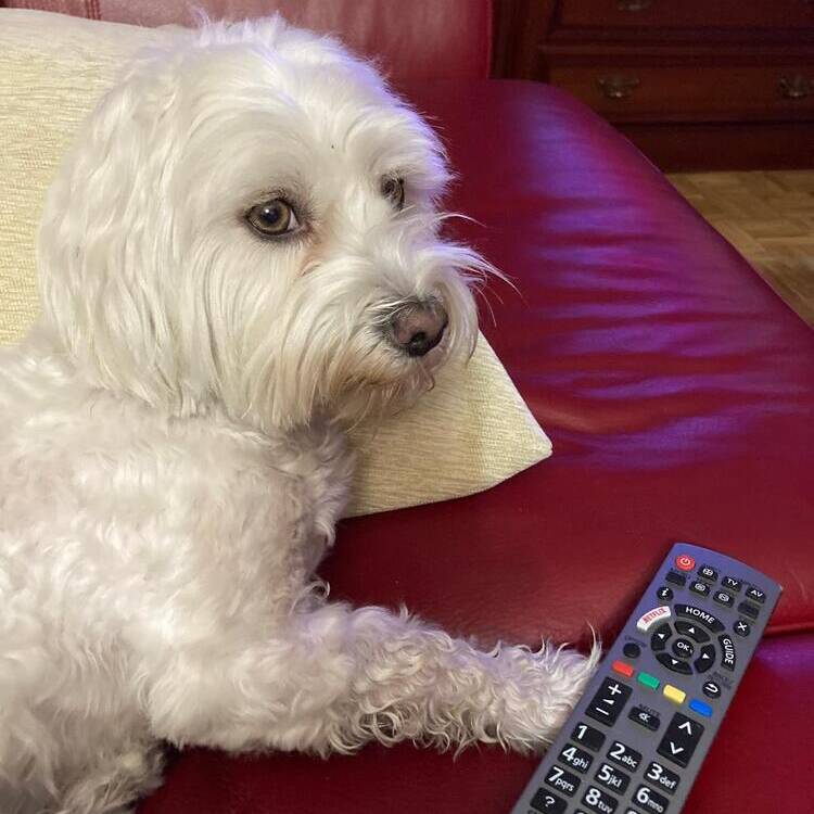 Foto de perfil de Arturo