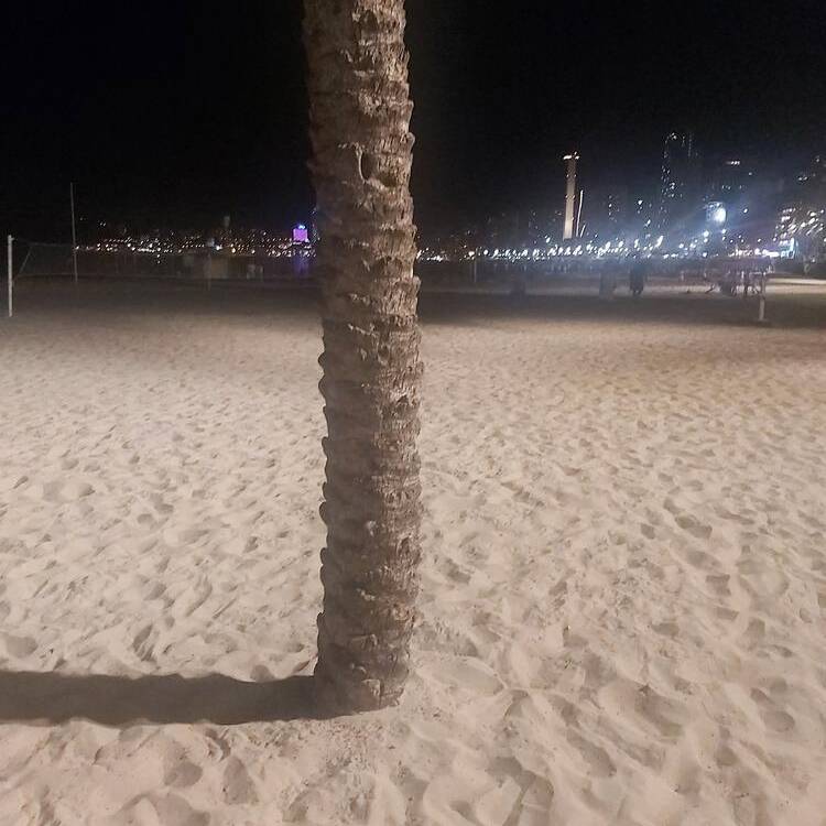 Foto de perfil de Jorge