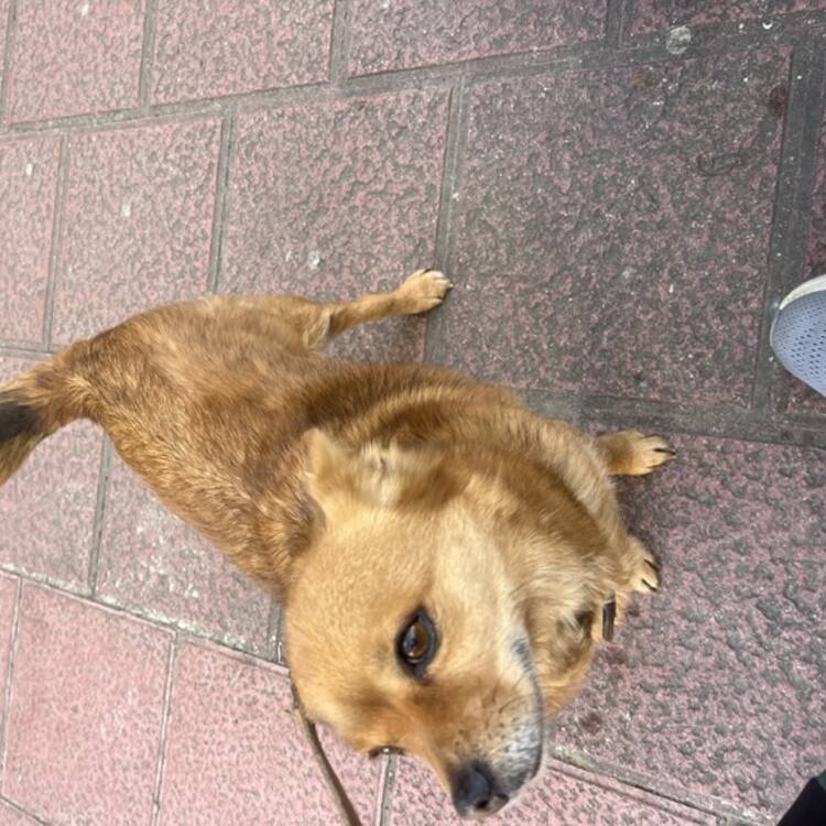 Foto de perfil de Rida