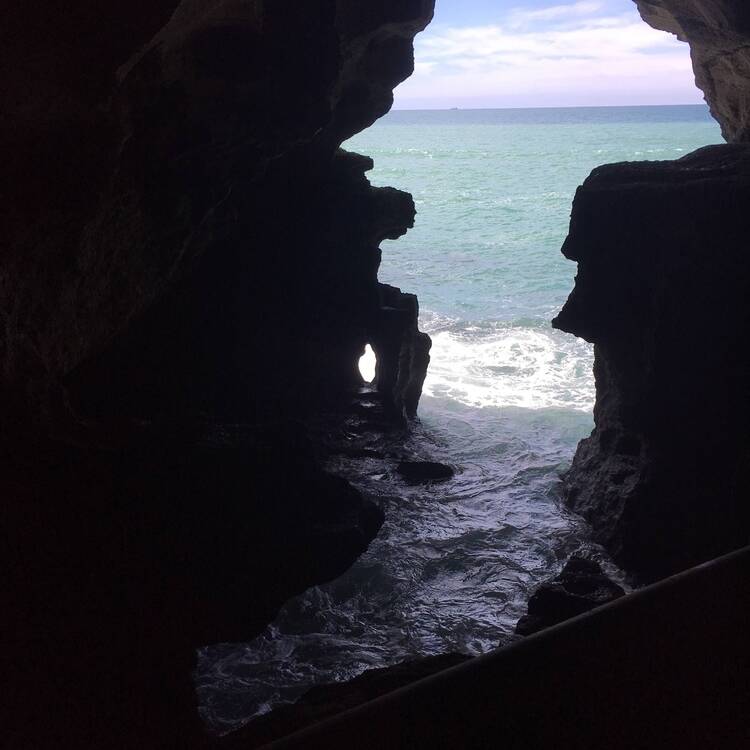 Foto de perfil de Miguel