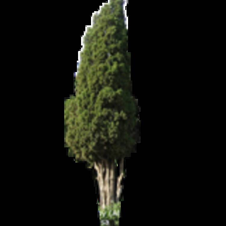 Foto de perfil de Vallisoletano