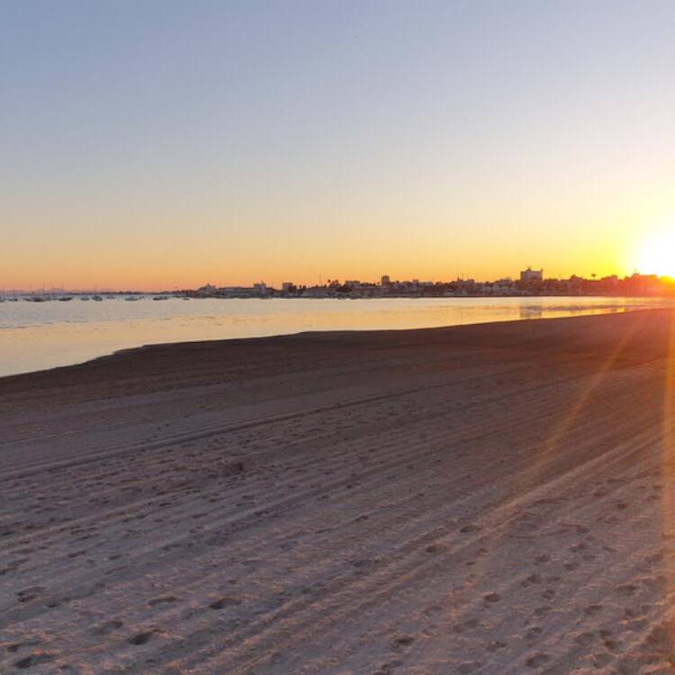 Foto de perfil de Gerundino