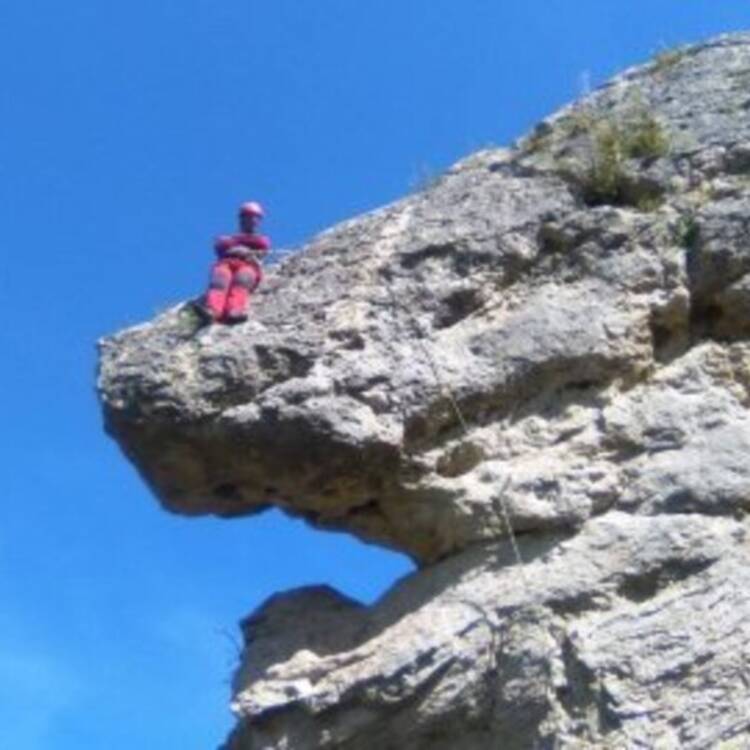 Foto de perfil de Fernando