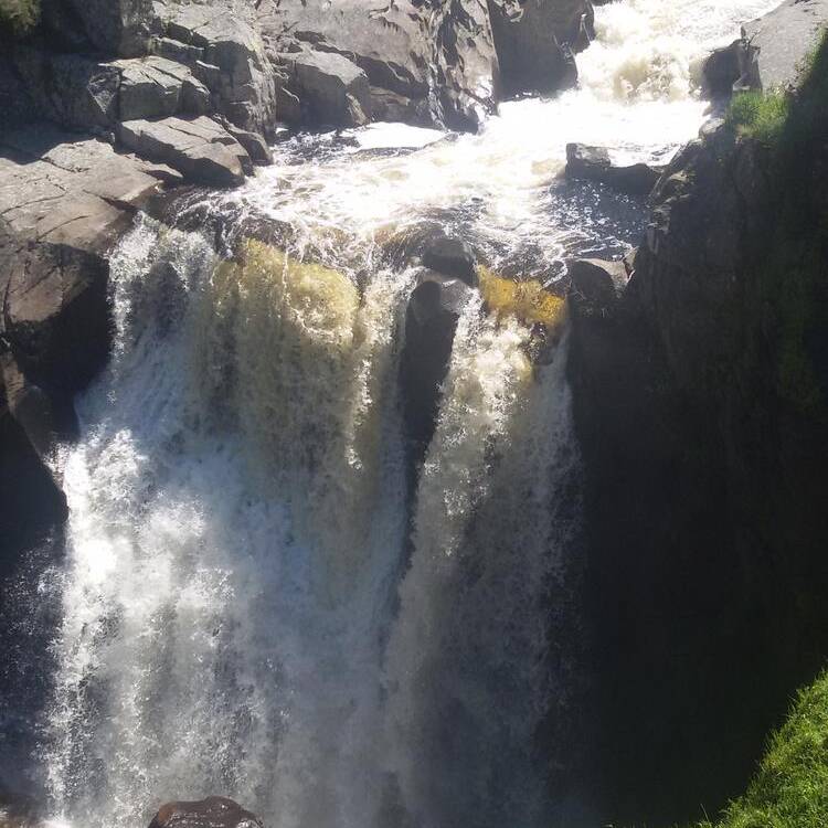 Foto de perfil de Aventurero