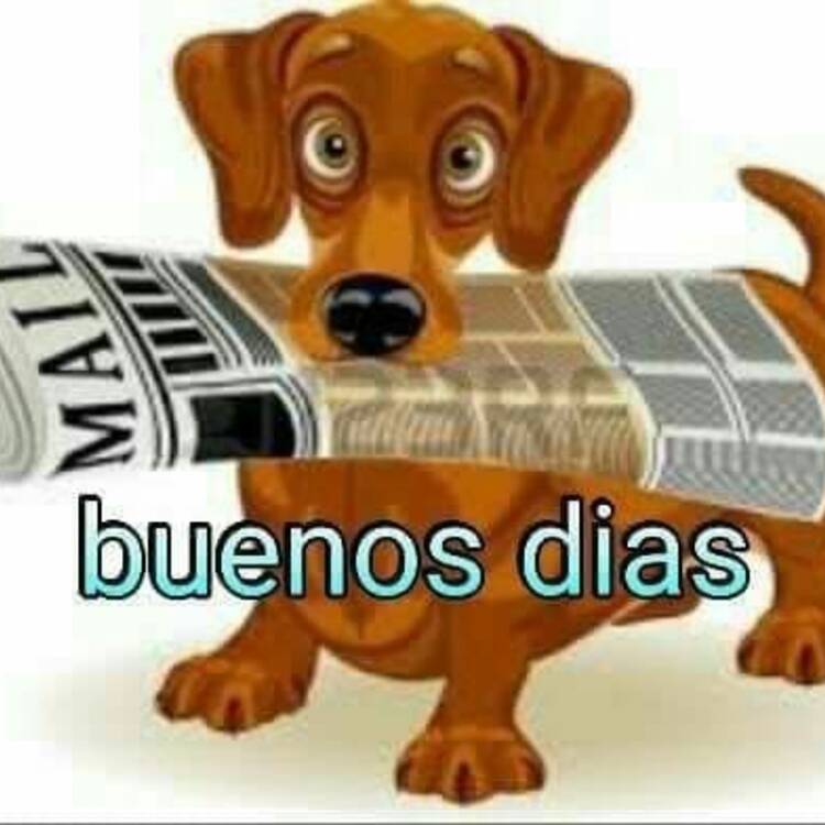 Foto de perfil de Marcelo