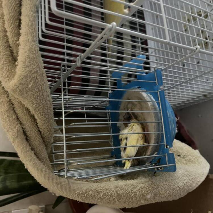 Foto de perfil de Jon