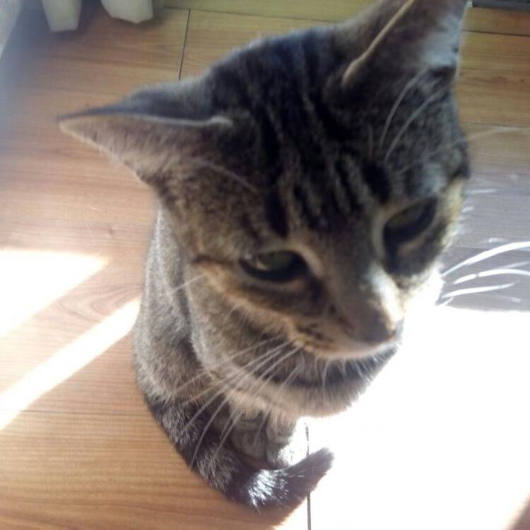 Foto de perfil de patty