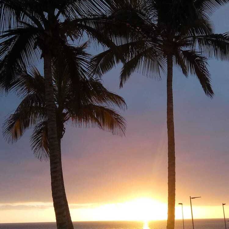 Foto de perfil de MARIA ANGELES