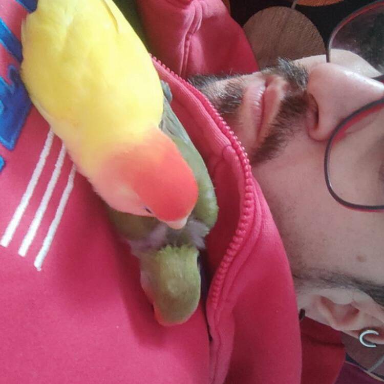 Foto de perfil de igor