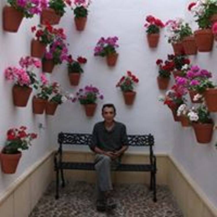 Foto de perfil de Santos Diente Sanchez