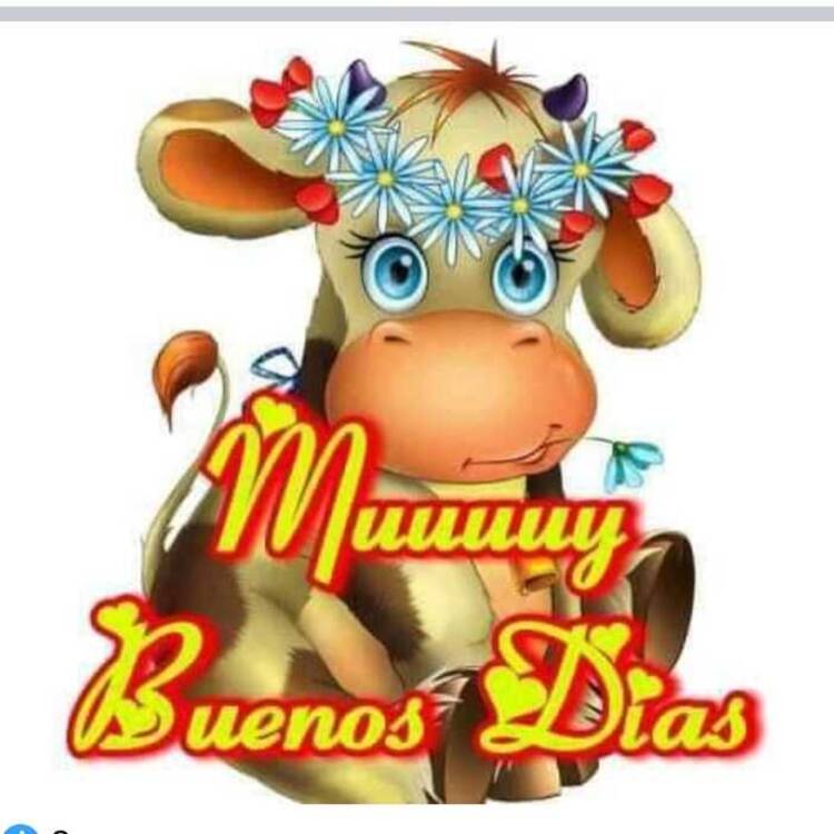 Foto de perfil de Benjamin