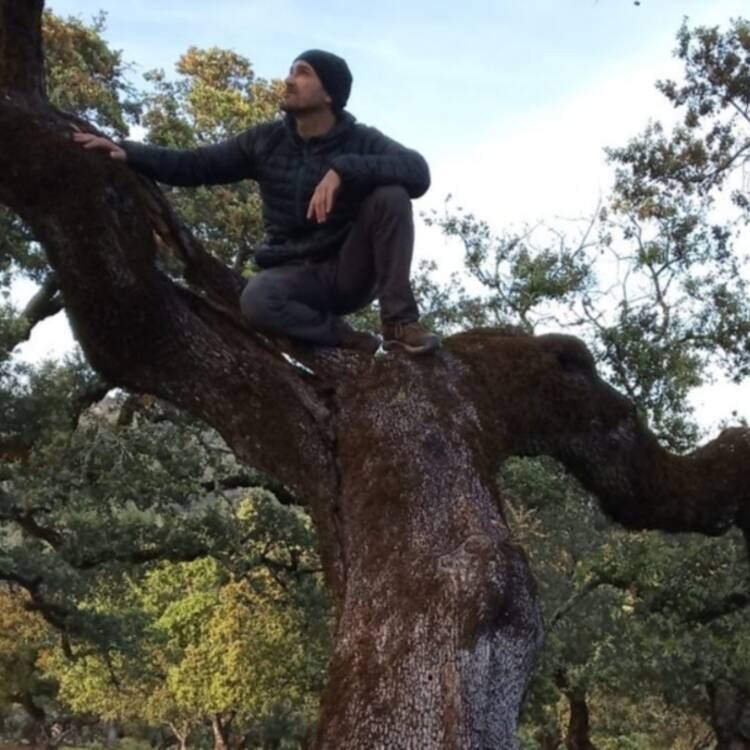 Foto de perfil de Jose