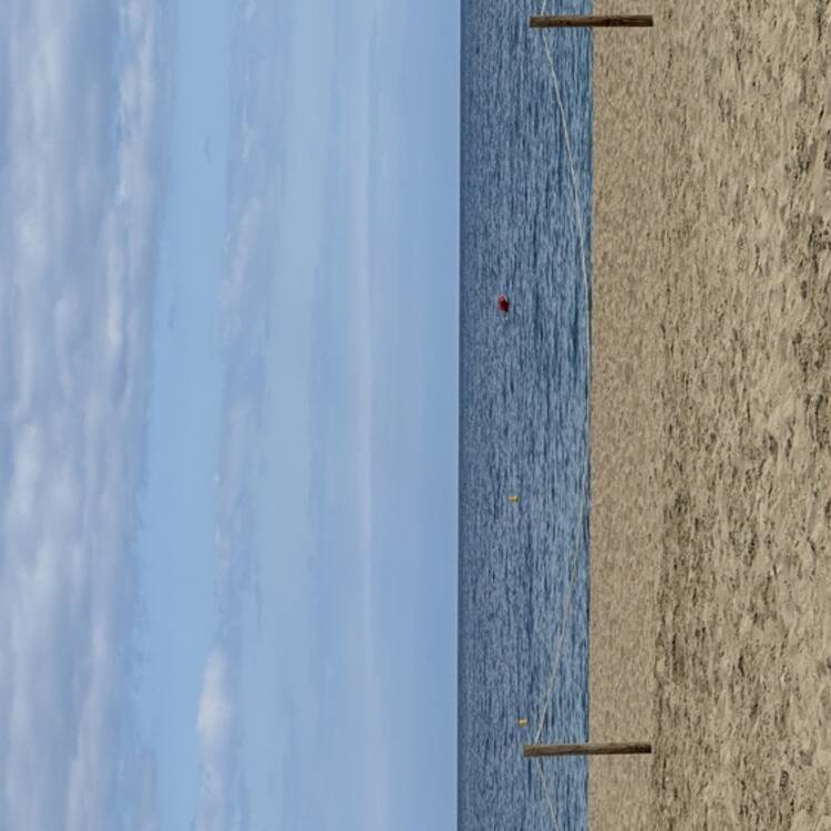 Foto de perfil de Mar