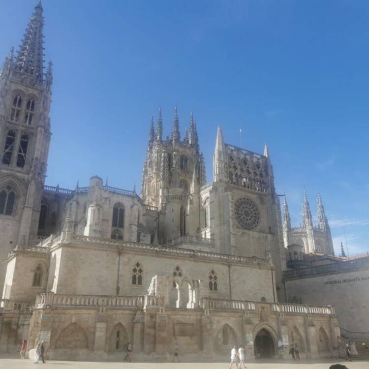 Foto de perfil de Pedro