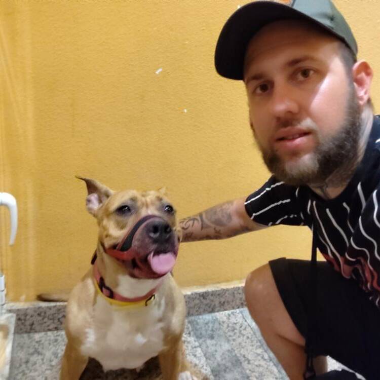 Foto de perfil de Marcus