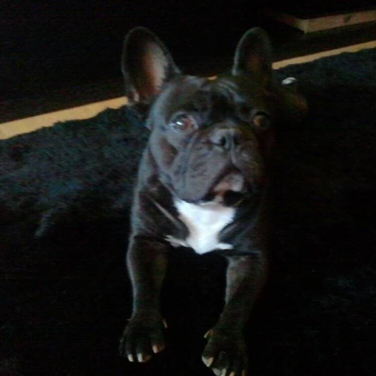 Foto de perfil de San Peter