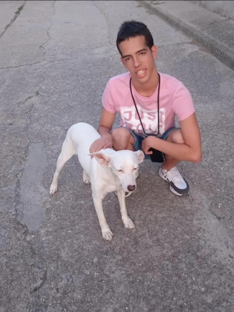 Foto de perfil de Marcos