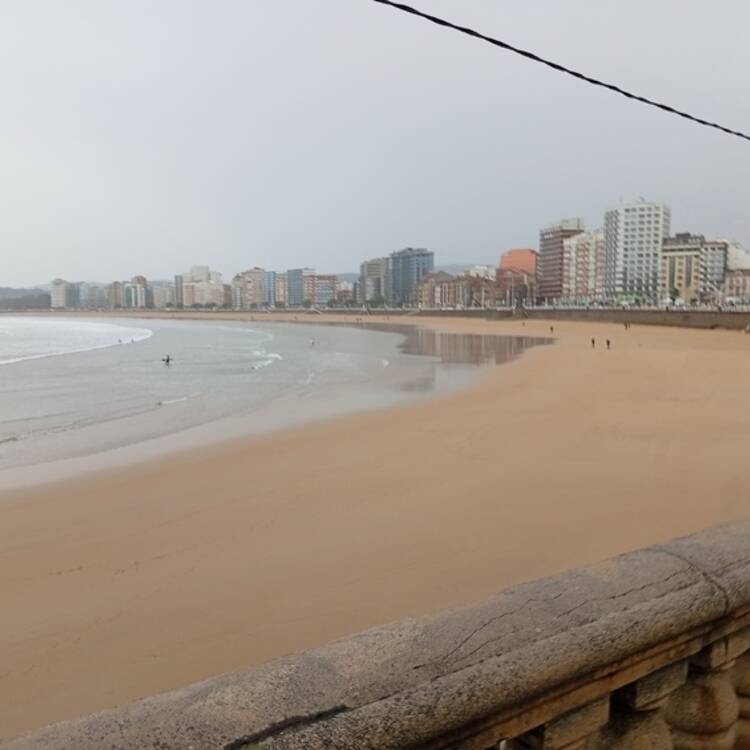 Foto de perfil de Raúl
