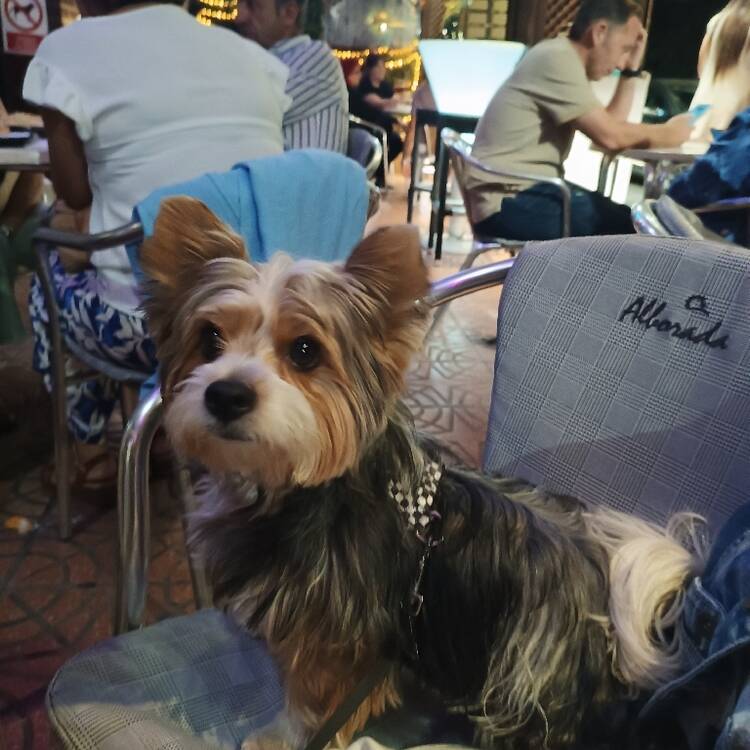 Foto de perfil de María