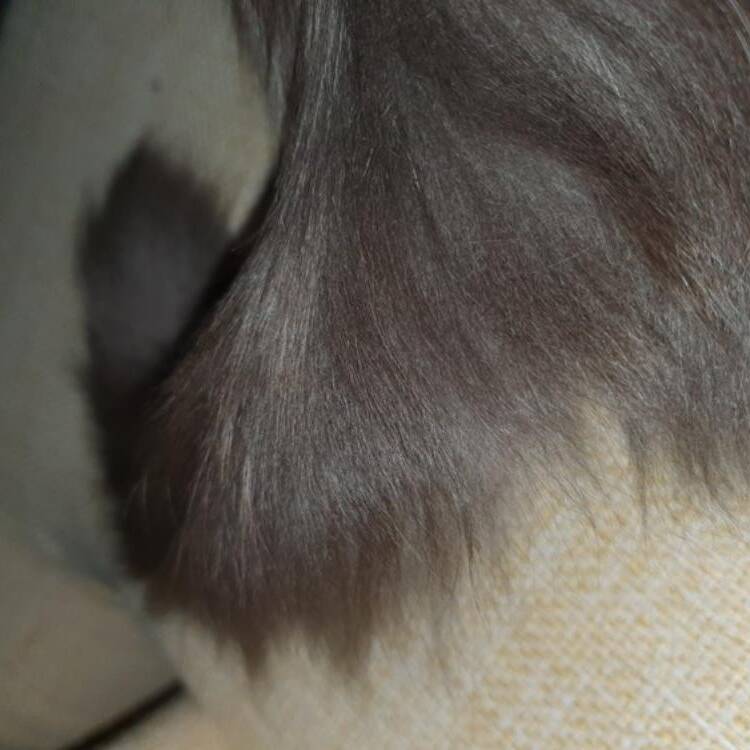 Foto de perfil de Susa