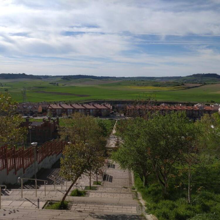 Foto de perfil de rober