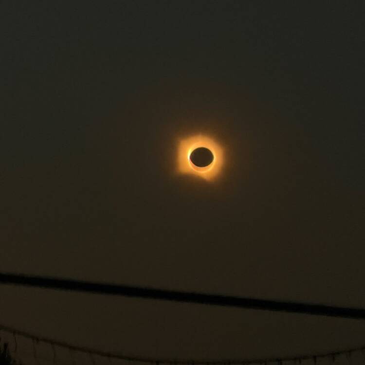 Foto de perfil de Lunait