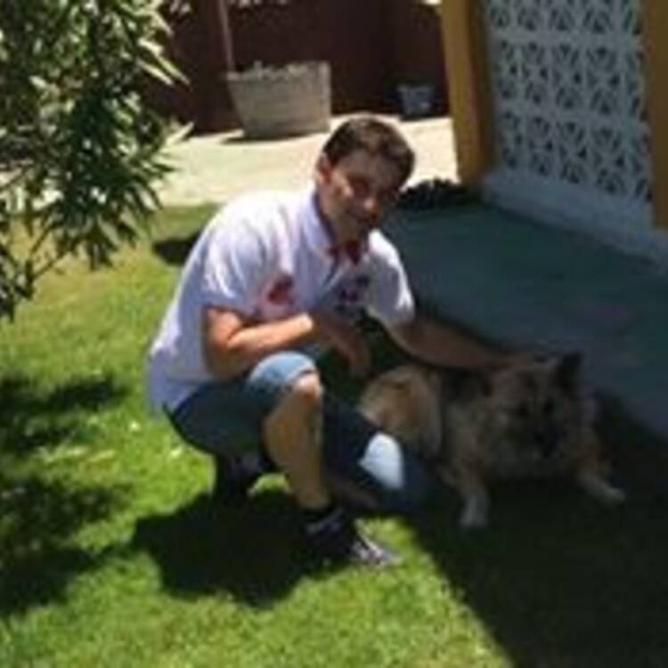Foto de perfil de Juan Manuel Velicia Gomez