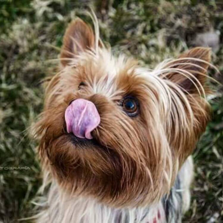 Foto de perfil de Miguel
